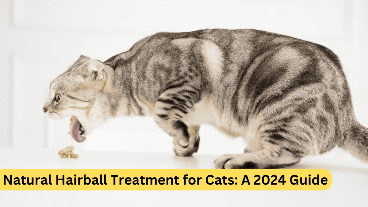 Natural Hairball Treatment for Cats: A 2024 Guide