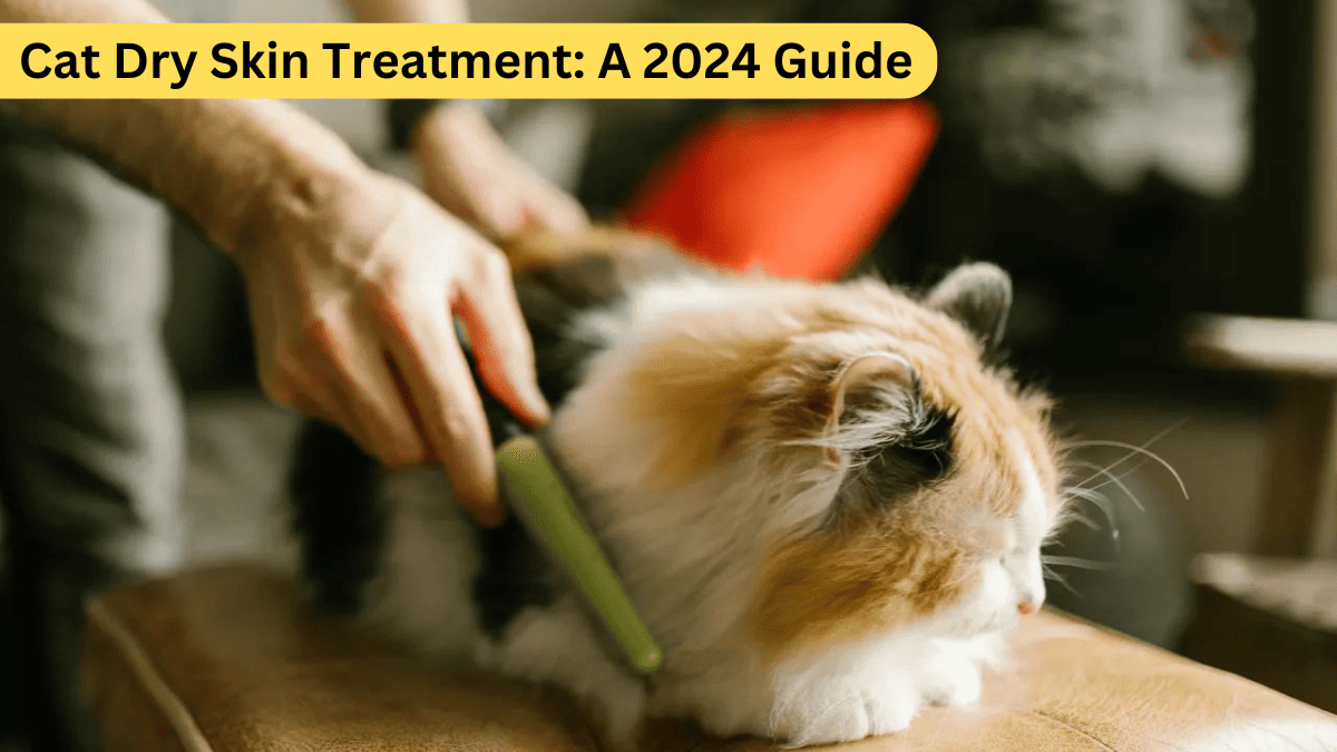 Cat Dry Skin Treatment: A 2024 Guide