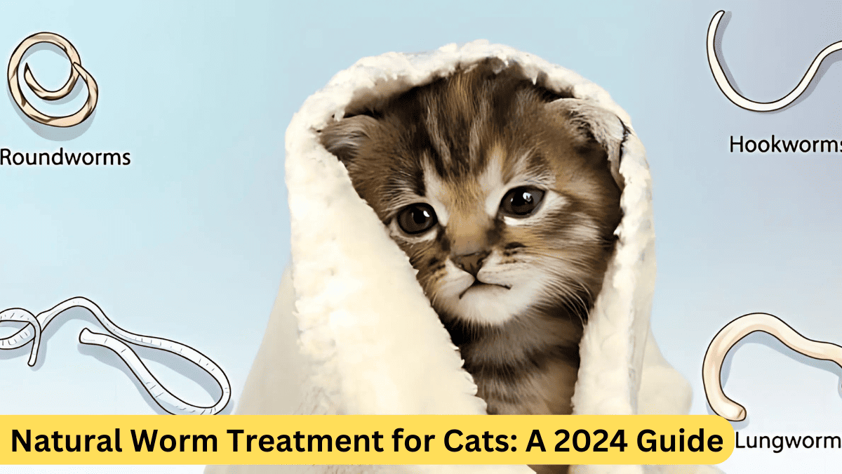 Natural Worm Treatment for Cats: A 2024 Guide