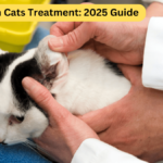 Ear Polyps in Cats Treatment: 2025 Guide